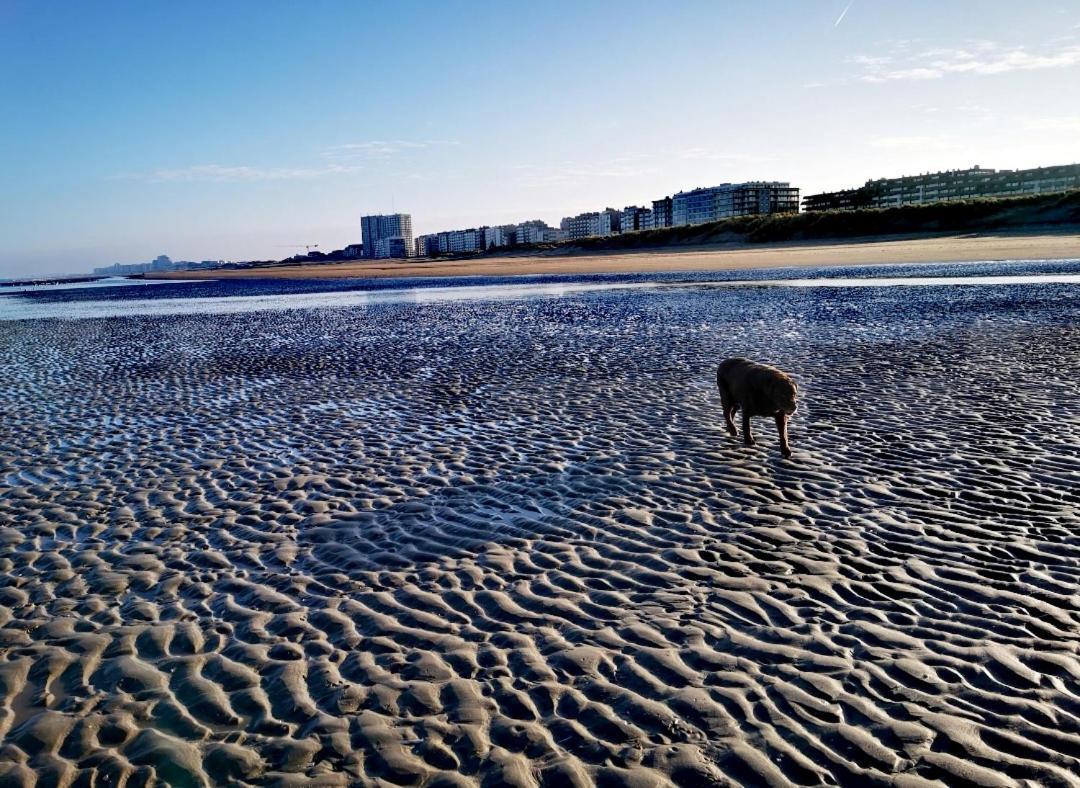 Апартаменты Hhvdk Aan Zee Остдёйнкерке Экстерьер фото
